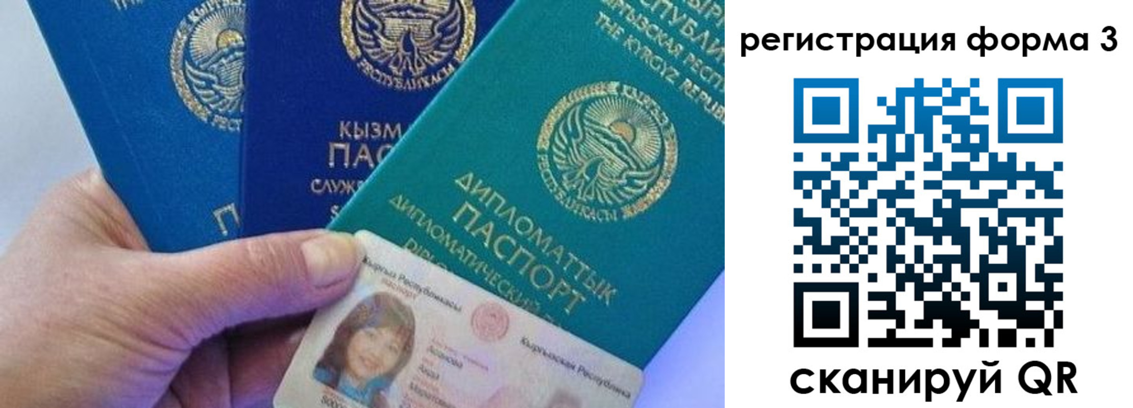 миграционный учет в Светлогорске