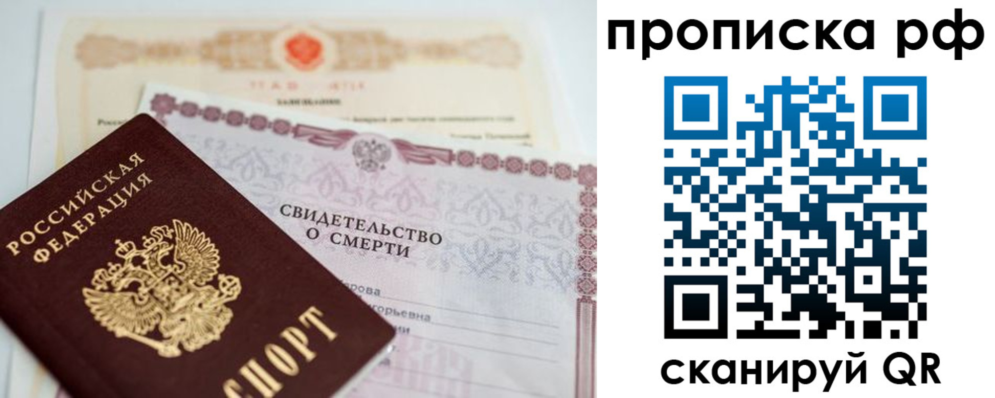 регистрация в Светлогорске